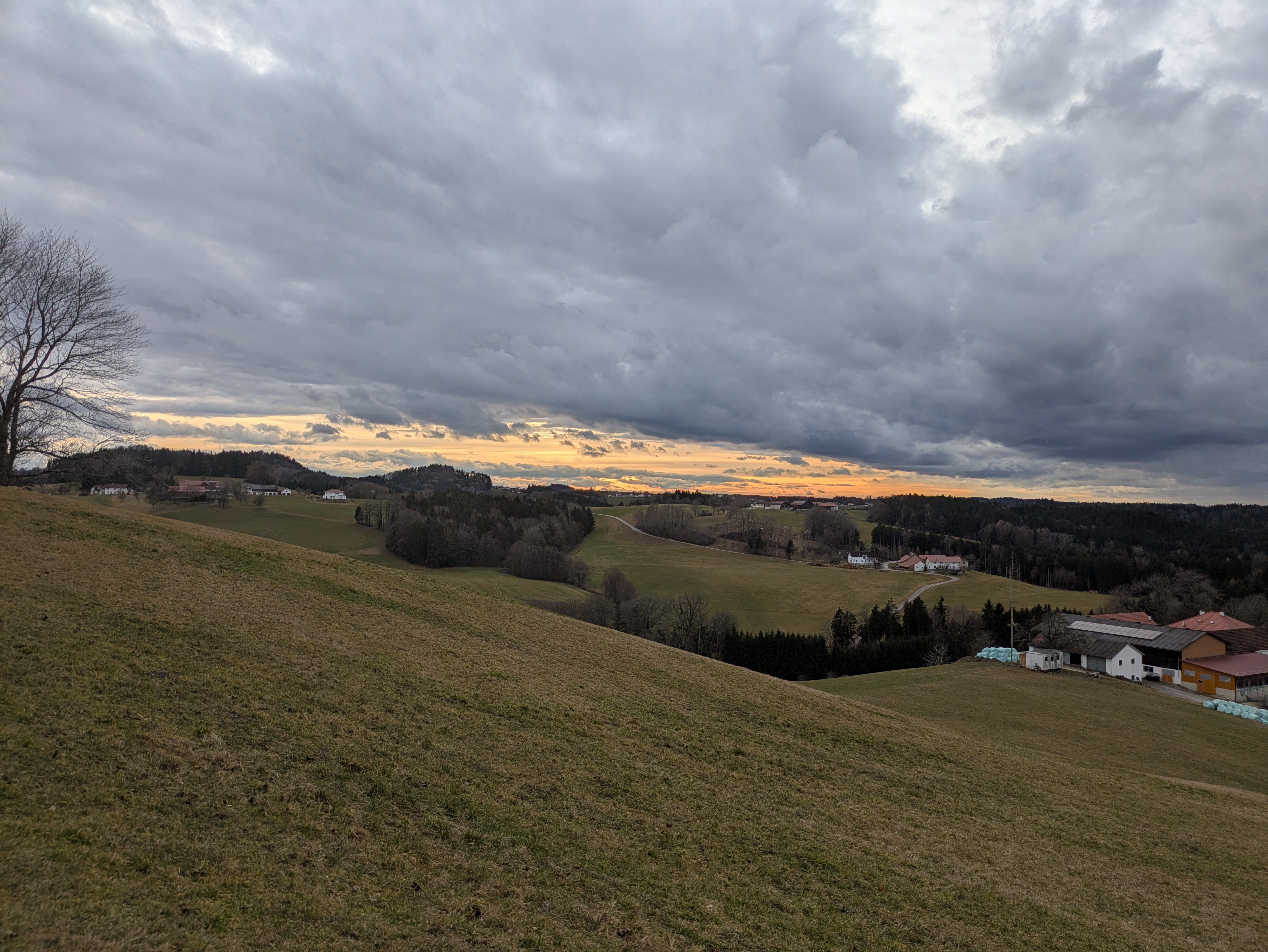 view