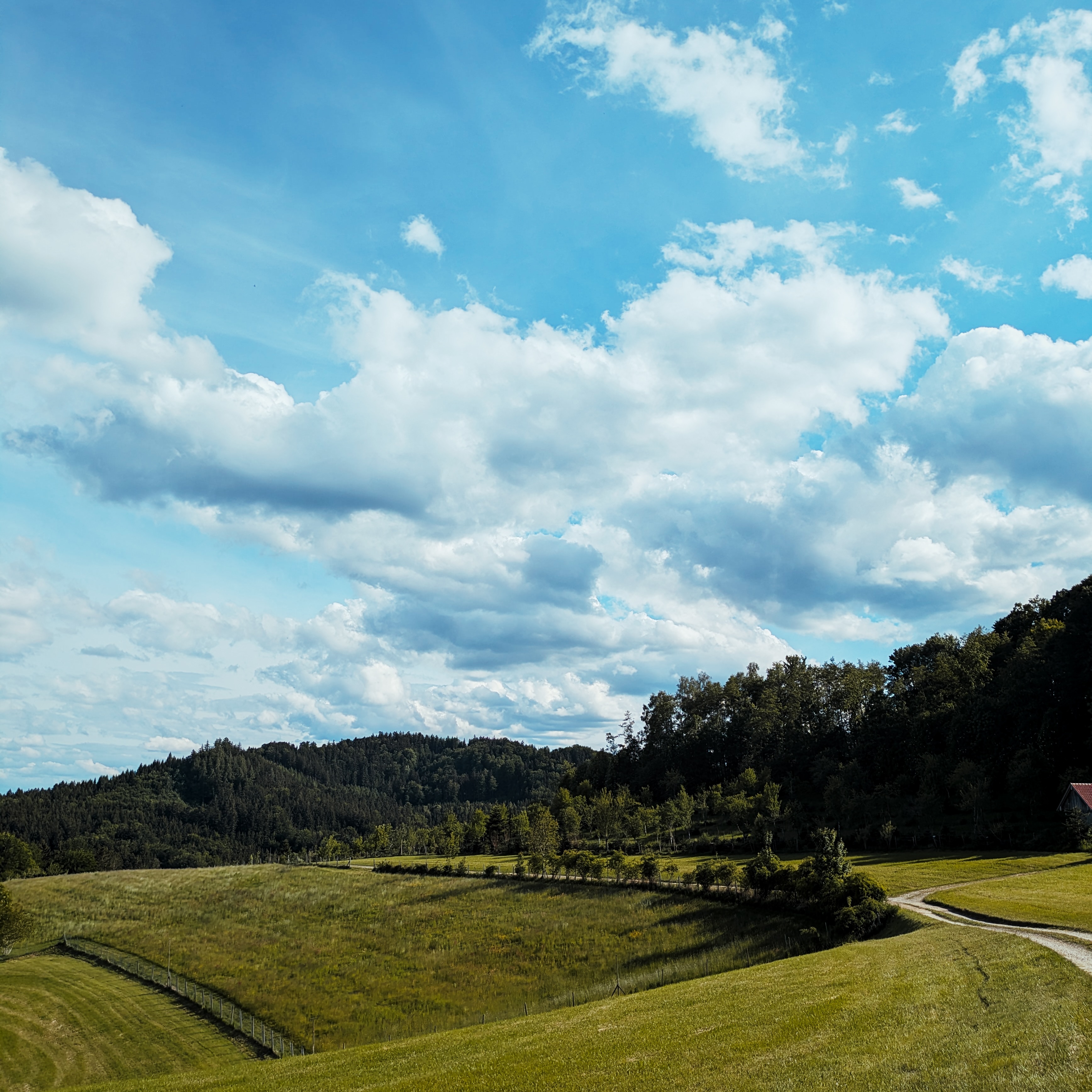 montag