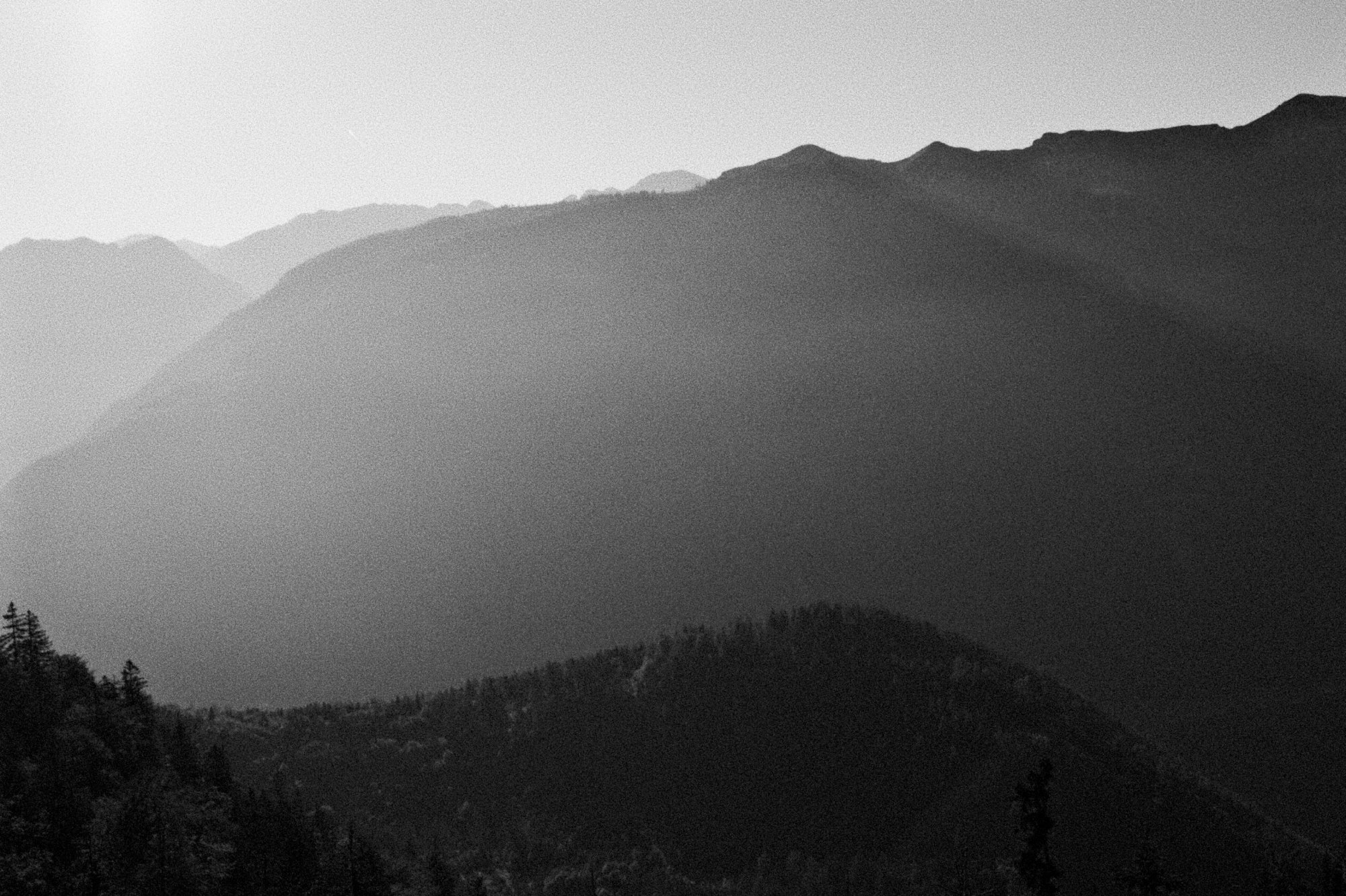 Schwarzweißfotografie von nebelverhangenen Bergen mit Waldbestand im Vordergrund unter bewölktem Himmel.