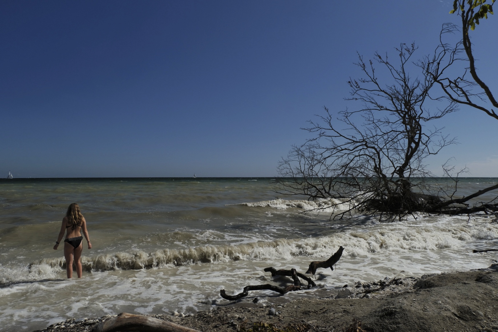 Eine Frau watet im Meer, umgeben von entwurzelten, abgestorbenen Bäumen an einem Strand unter blauem Himmel.
