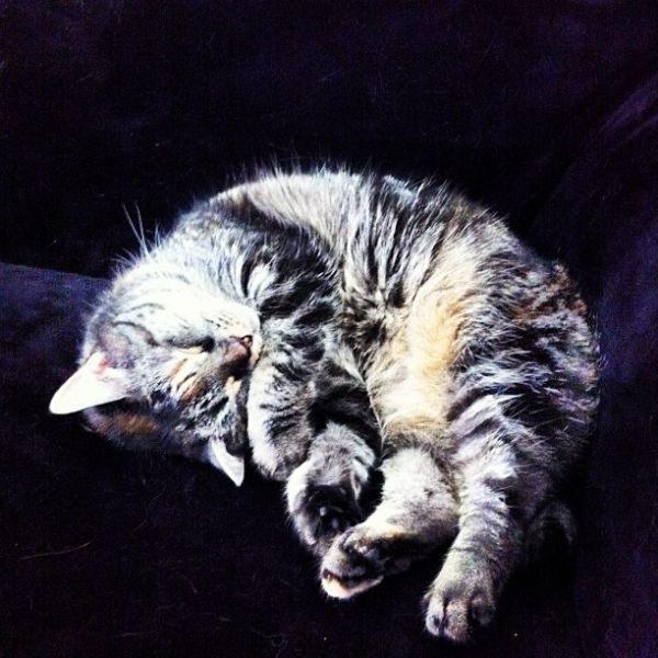 Lazy sunday