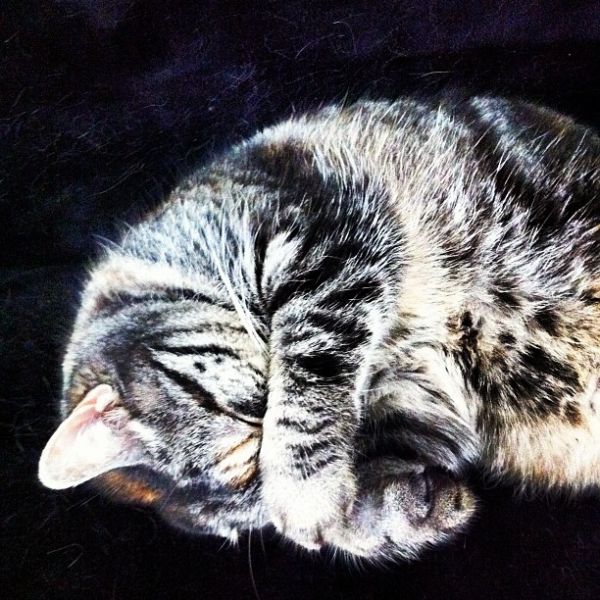 Sleep tight