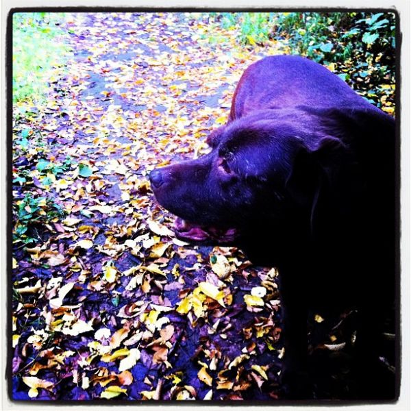 Herbst?