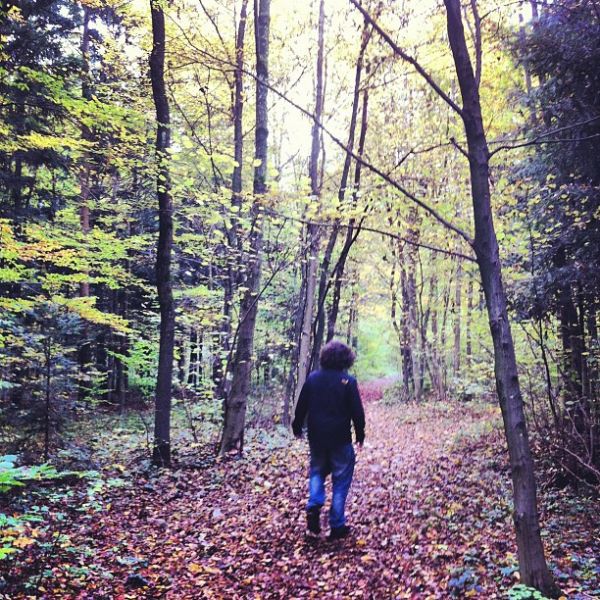Walk in the woods.