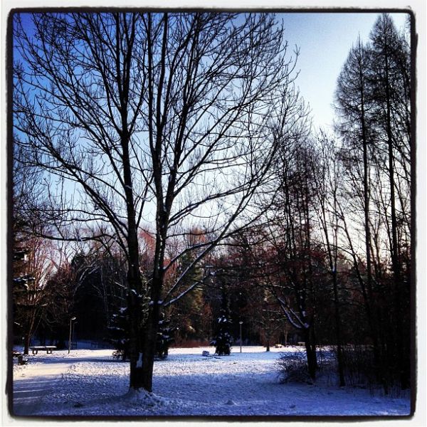 Sonne!