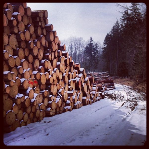Urdentlich Holz vor der Hittn