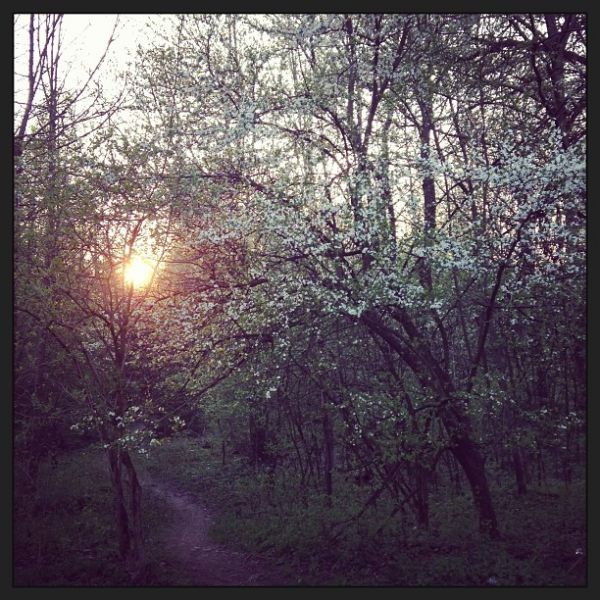 Abendspaziergang