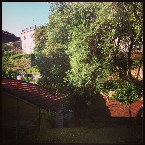Wir nehmen Sonne mit.