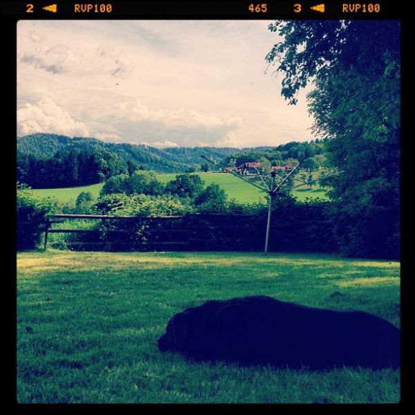 Lazy sunday