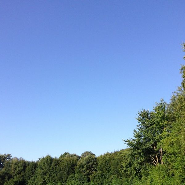 About to get a wonderful day.