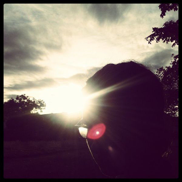 Evening sun im Brockwell Park.