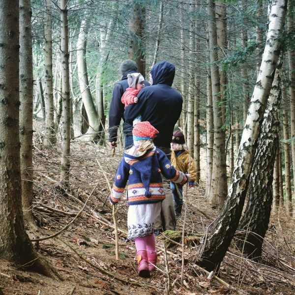 A walk in the woods