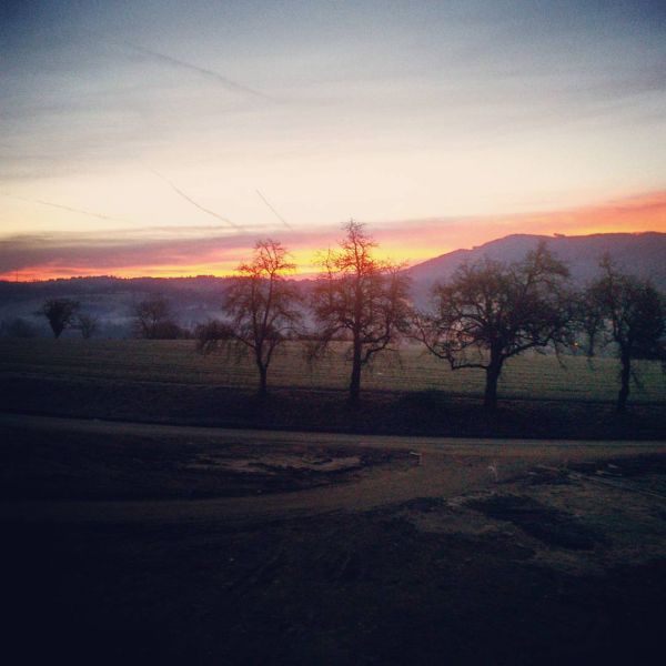 Morning view