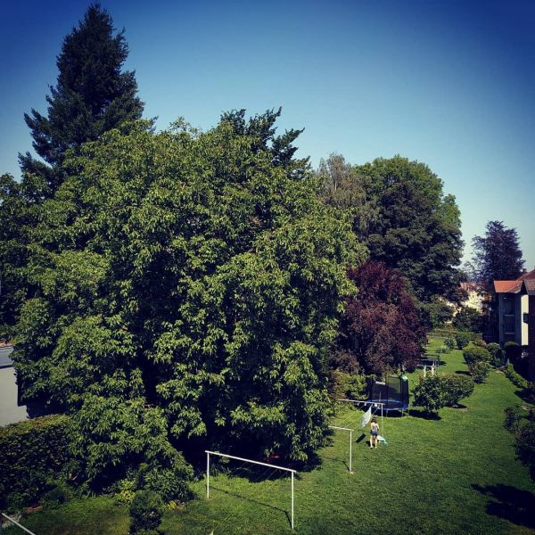 New homeview