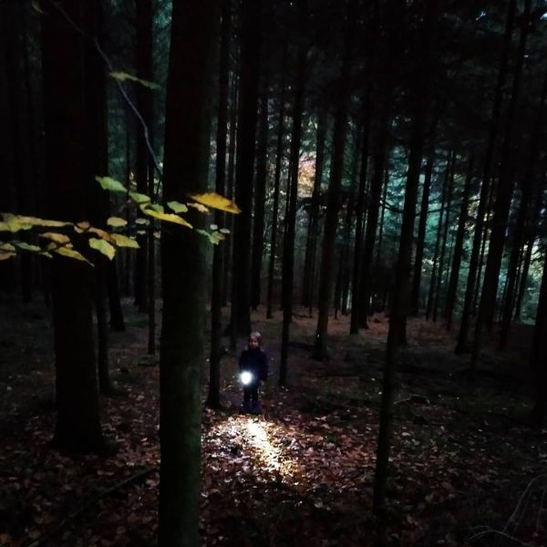 Nachtspaziergang
