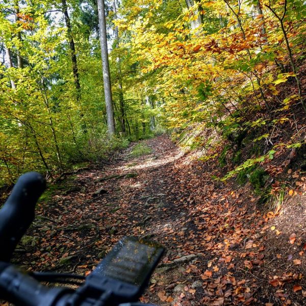 #fromwhereiride