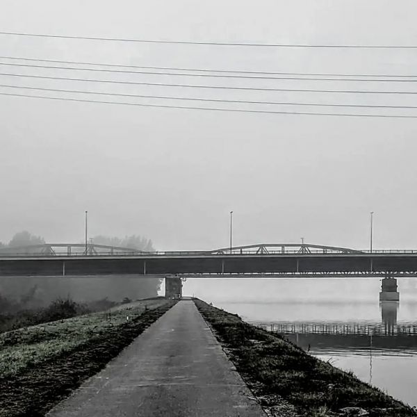 Foggy