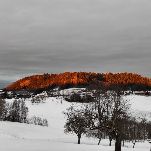 #nofilter #wintersun