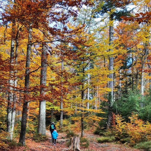 Herbst