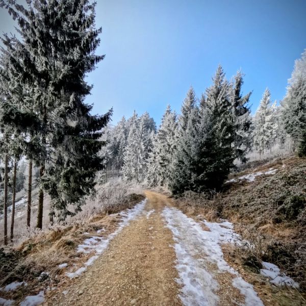 #fromwhereirun